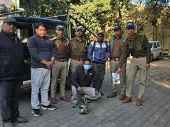 हिमालयन घुरल के अवैध शिकार में एक गिरफ्तार