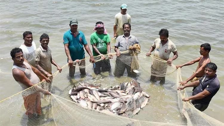 बिलासपुर : आत्मनिर्भरता और आर्थिक स्थिरता का मजबूत आधार बना-मत्स्य पालन