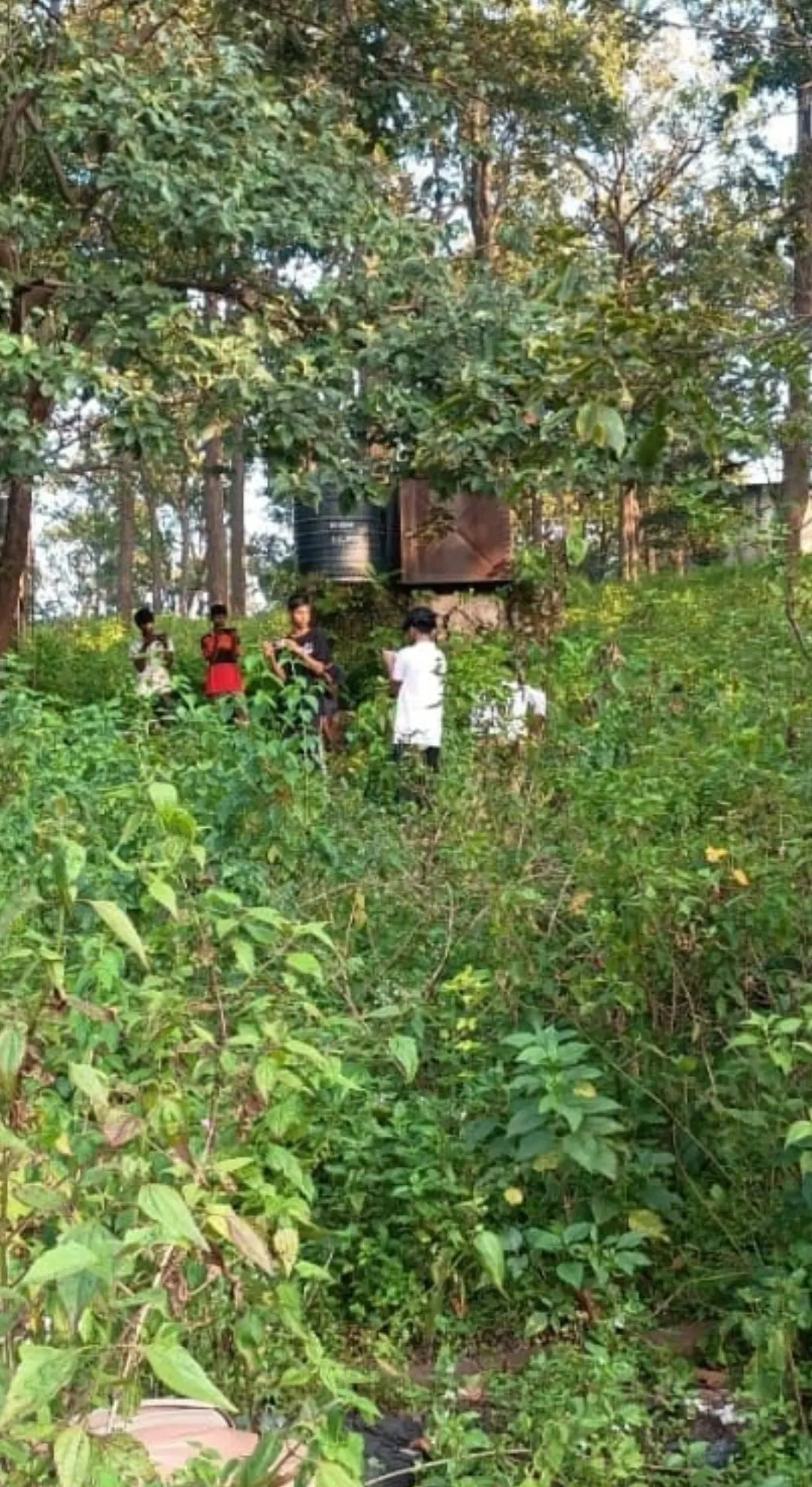 बच्चों में पब जी की बढ़ती लत से जंगल बना गेमिंग का अड्डा