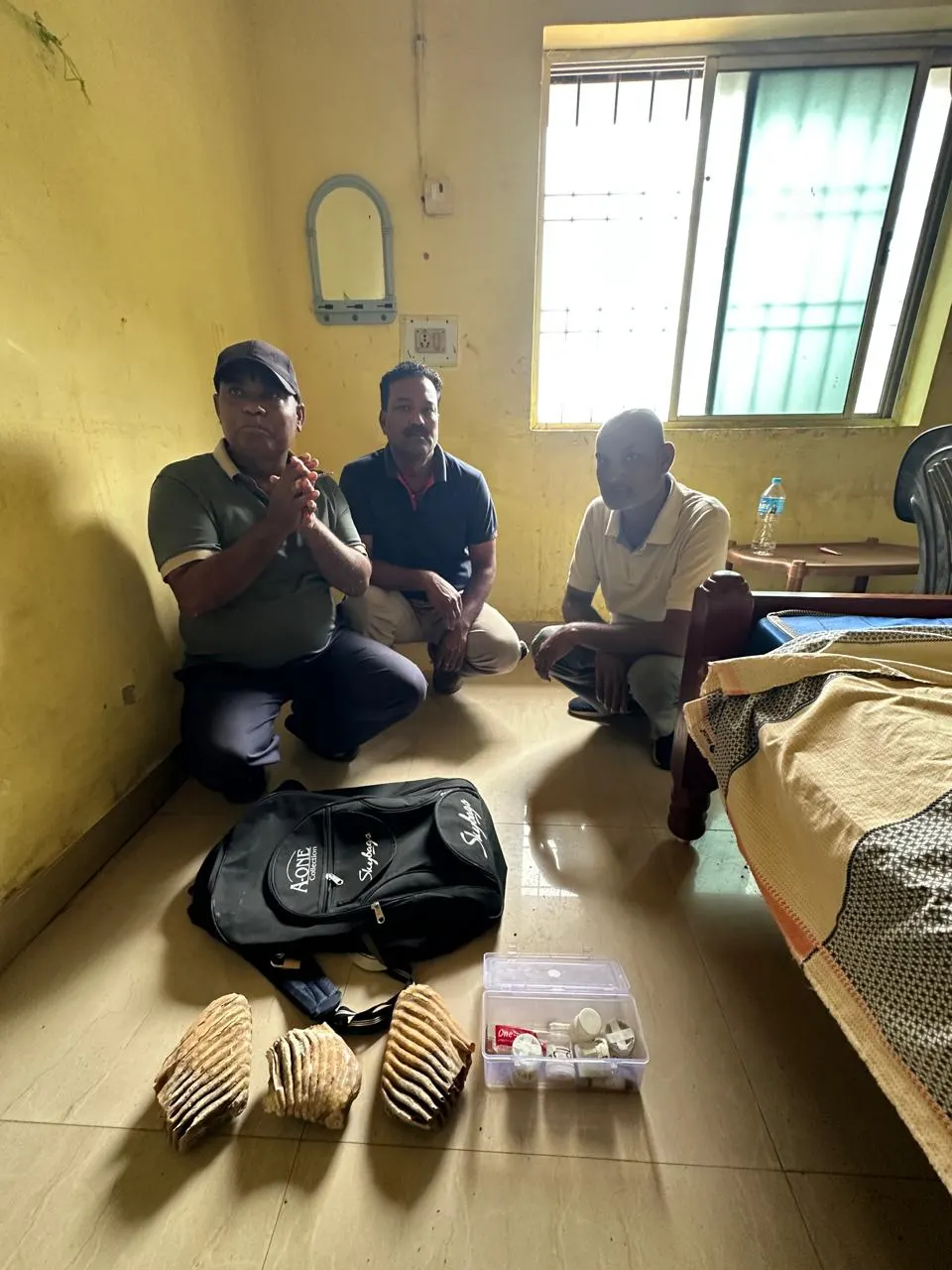 रामानुजगंज में हाथी दांत तस्करों पर शिकंजा, 3 दांत जब्त; तीन आरोपी सलाखों के पीछे