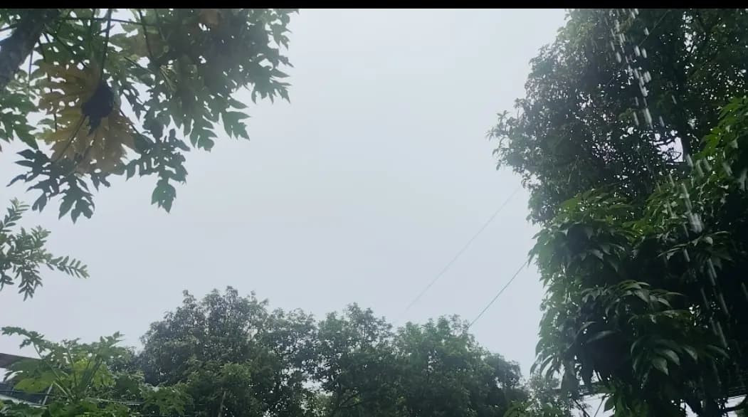 उत्तराखंड में भारी वर्षा की चेतावनी, कई जिलों में स्कूल बंद