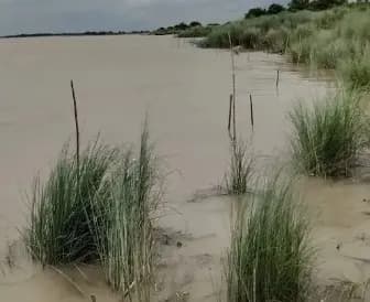 नवगछिया में बाढ़-कटाव का बढ़ा खतरा, गंगा 57 सेमी ऊपर