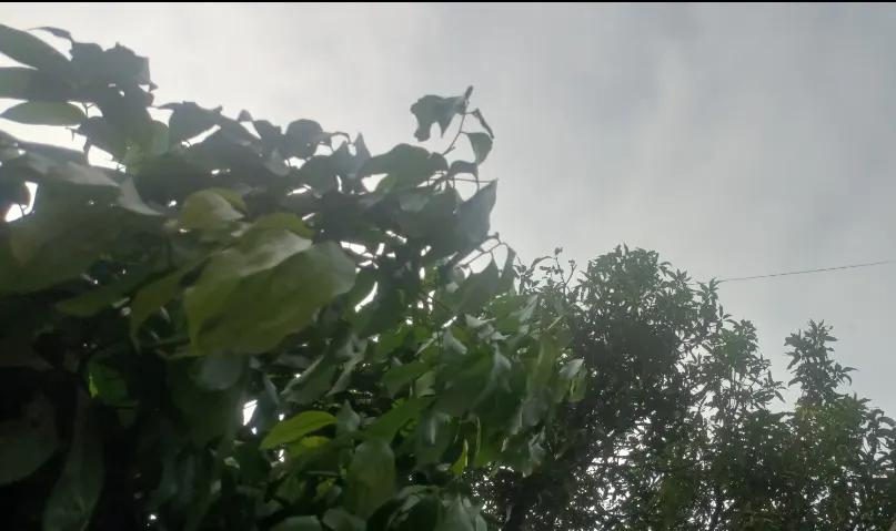 उत्तराखंड में ठंड का कहर, बारिश-बर्फबारी की संभावना