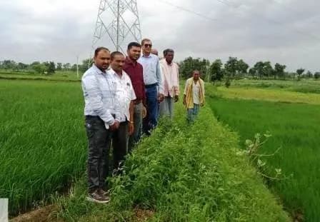 रायपुर : कम लागत से गेहूं की फसल में किसानों को मिलेगा ज्यादा मुनाफा