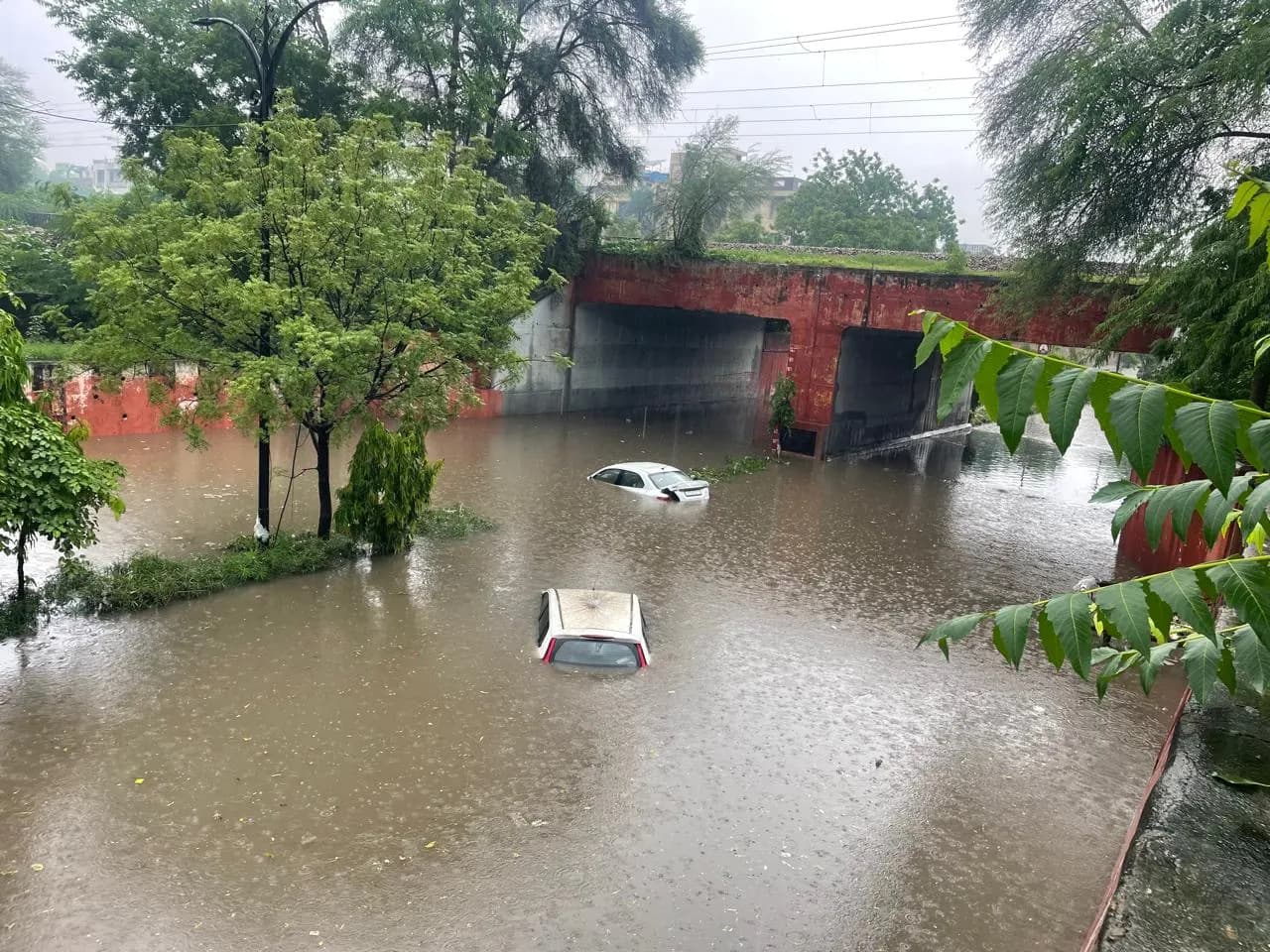 राजस्थान में मूसलाधार बारिश से बाढ़ जैसे हालात, 12 मौतें, कई जिले अलर्ट पर