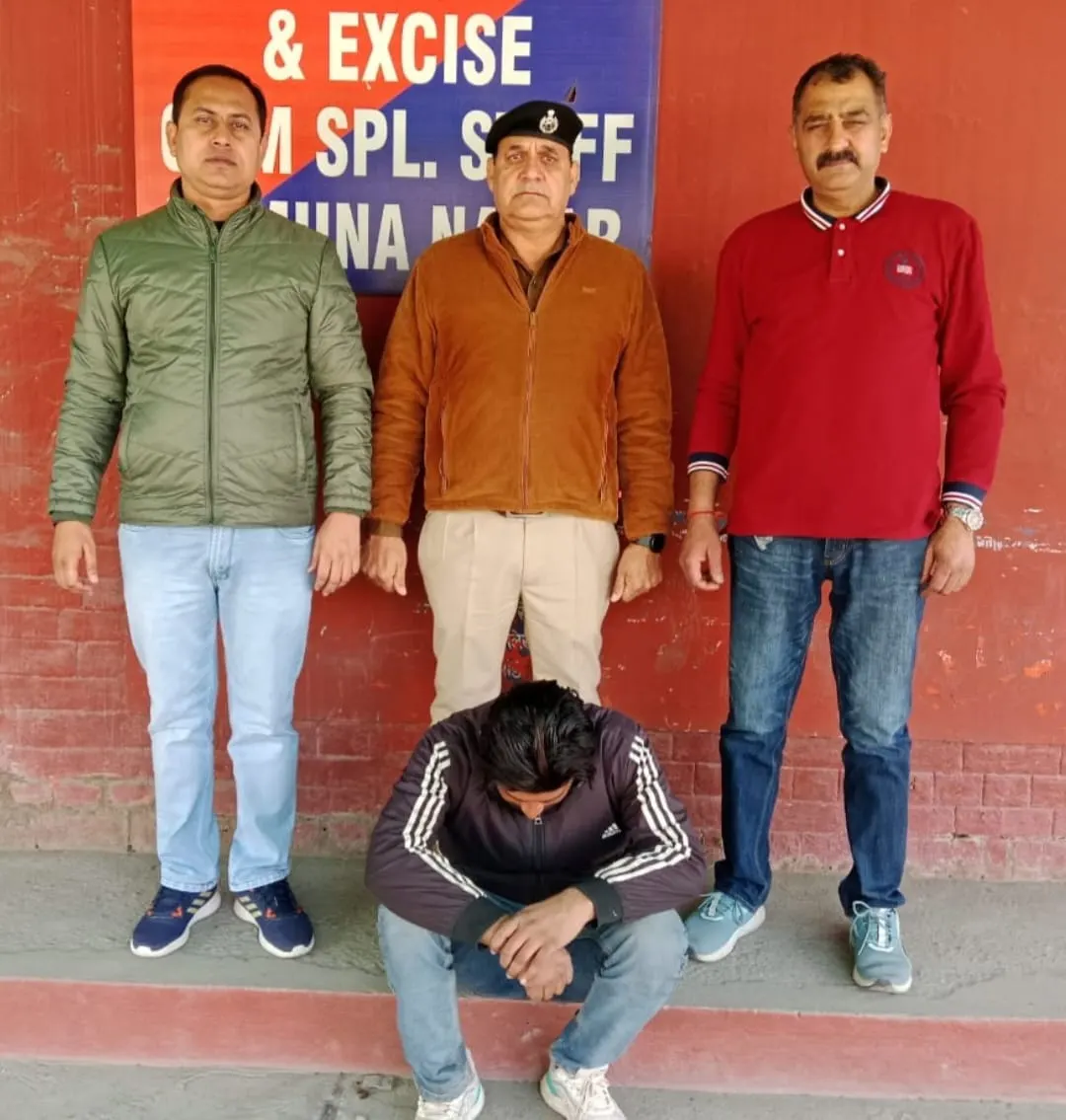 यमुनानगर:मंडी से चोरी लकड़ी की ट्रॉली बरामद,आरोपी को दबोचा