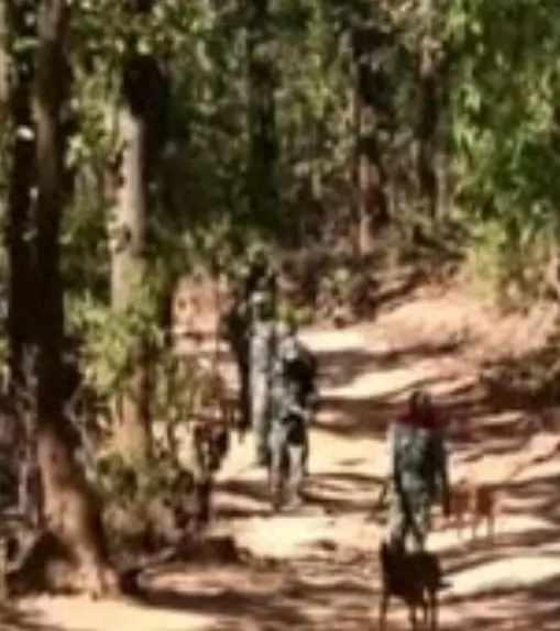नक्सलियों के आईईडी विस्फोट में कोबरा के दो जवान घायल