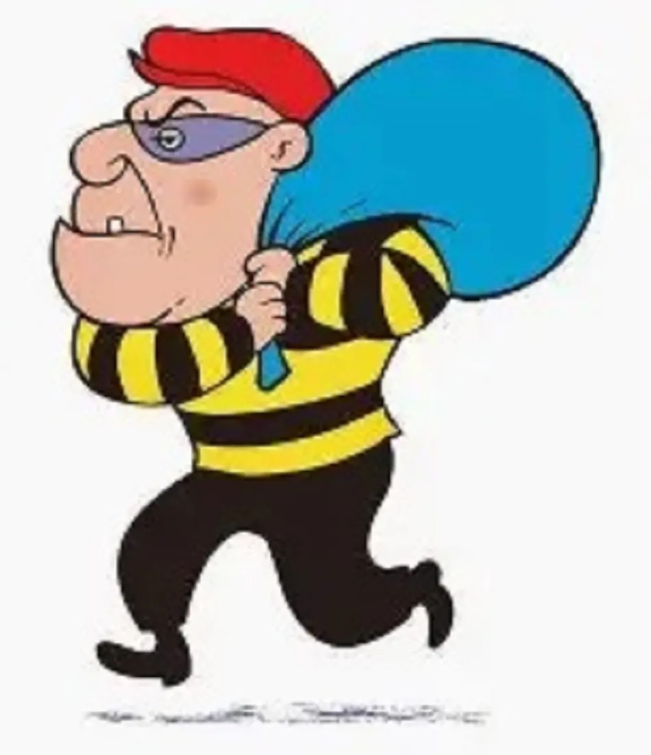 चोरी की दो वारदातों से दहशत, दुकान और गोदाम को बनाया निशाना