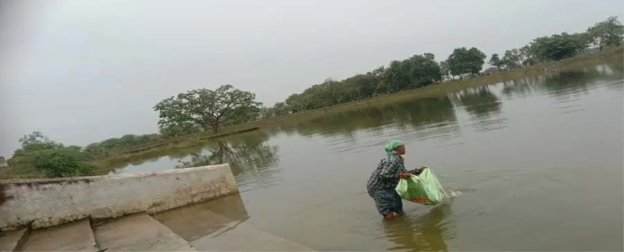 अमृत सरोवर से करीब 650 महिलाओं को मिला रोजगार
