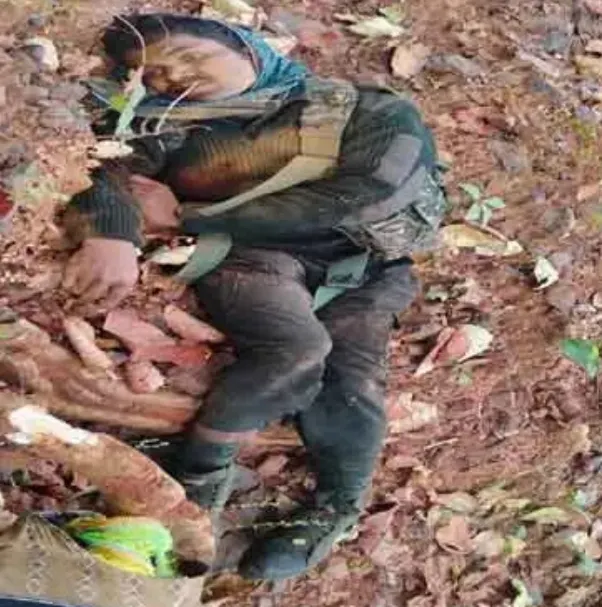 सुरक्षाबलों और नक्सलियों के बीच मुठभेड़, दो नक्सली ढेर