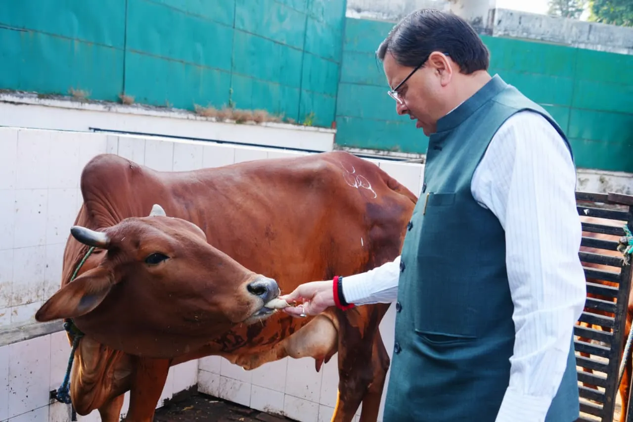 मुख्यमंत्री धामी ने की गोवर्धन पूजा, कहा- आजीविका और आत्मनिर्भरता से भी जुड़ा हुआ है गौ-संवर्धन