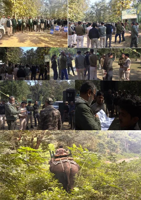 सिवनी : पेंच टाइगर रिजर्व से बाघिन को राजस्थान भेजने की तैयारी शुरू