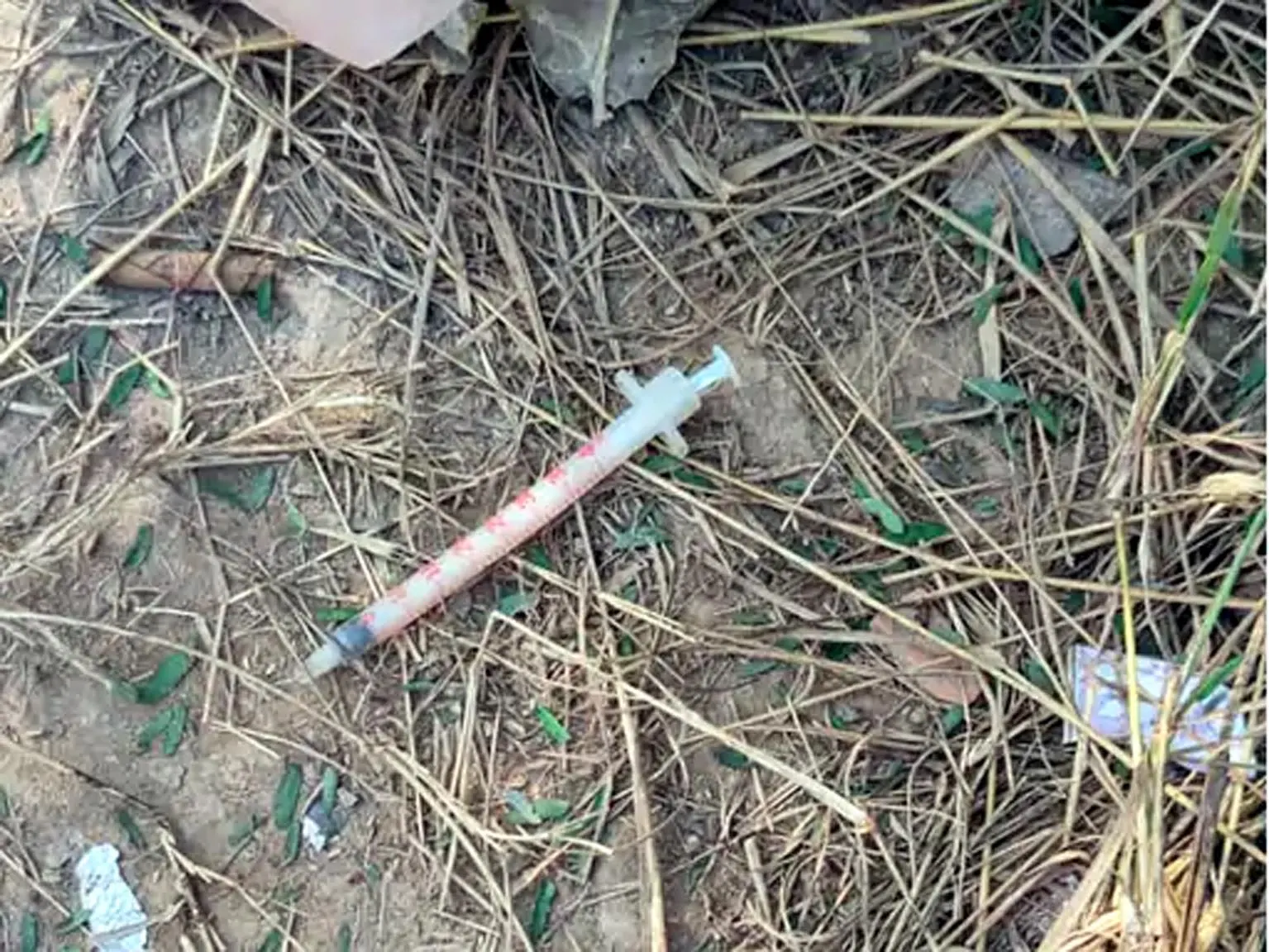 फतेहाबाद के रतिया में नशे ने ली दो युवकों की जान