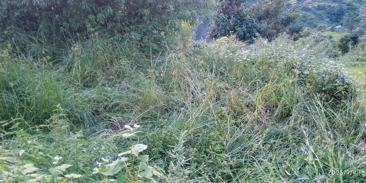 फसलों की सुरक्षा को लिए लगाई जाए चैन फैसिंग