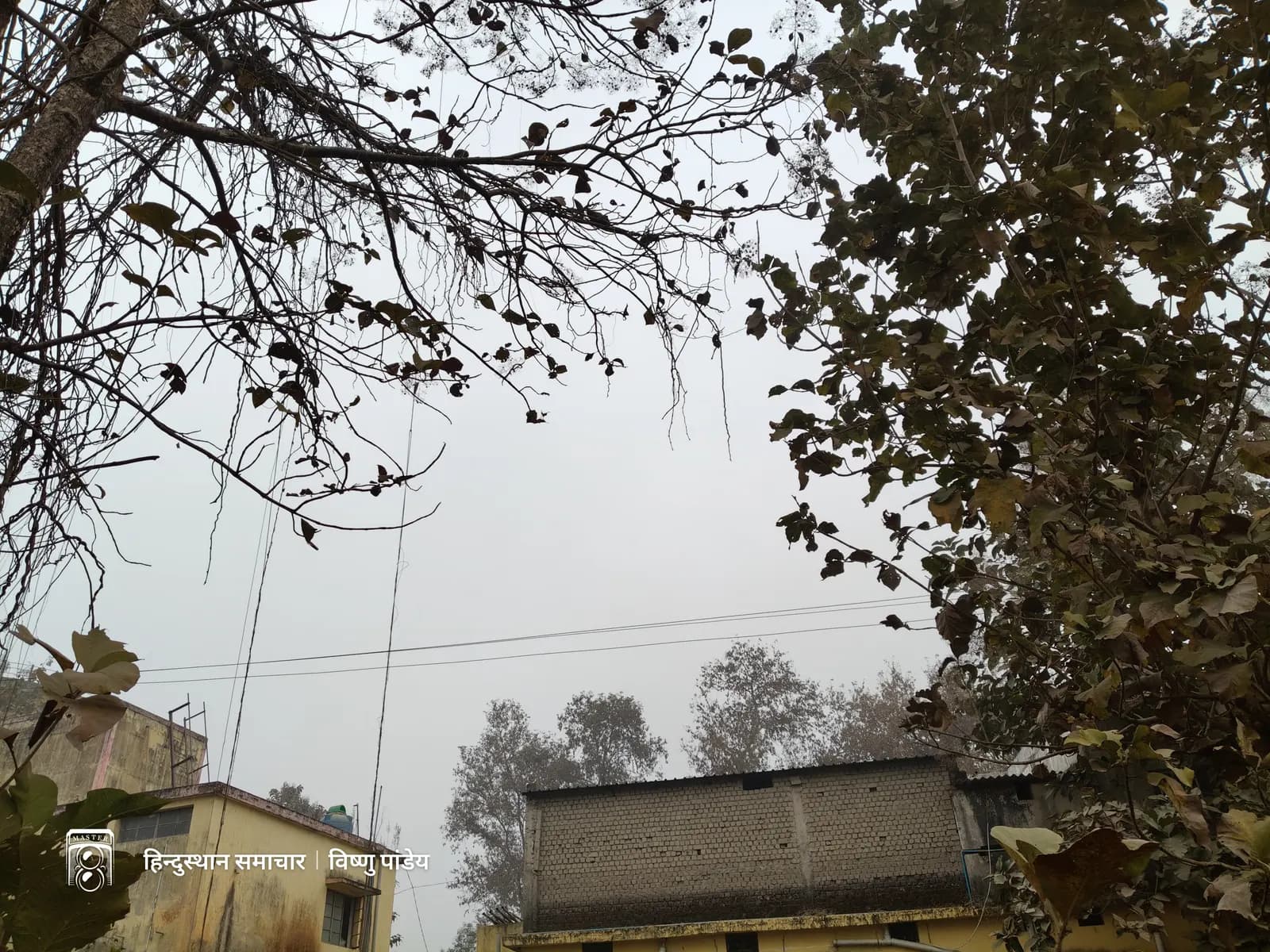 बलरामपुर : उत्तर छत्तीसगढ़ में फिर बढ़ी ठंड , शीतलहर–कोहरे ने बढ़ाई ठिठुरन
