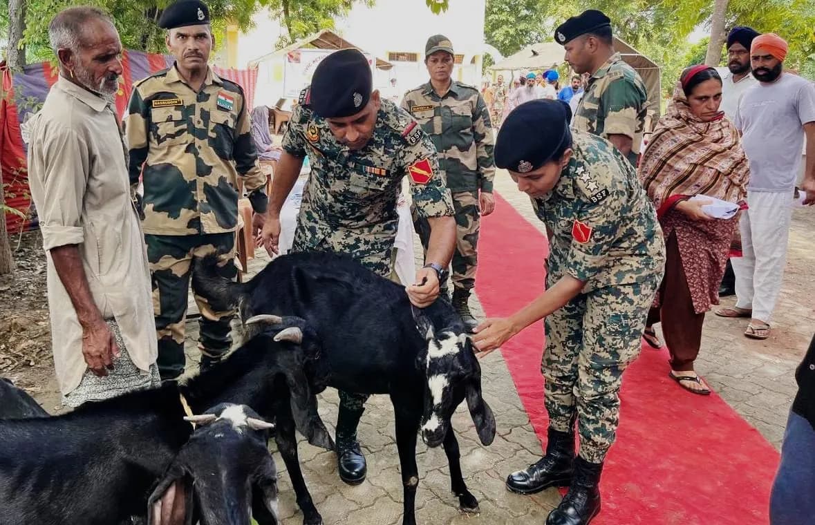 पंजाब के सीमावर्ती जिलों में पशुओं को बचाने के लिए आगे आई बीएसएफ