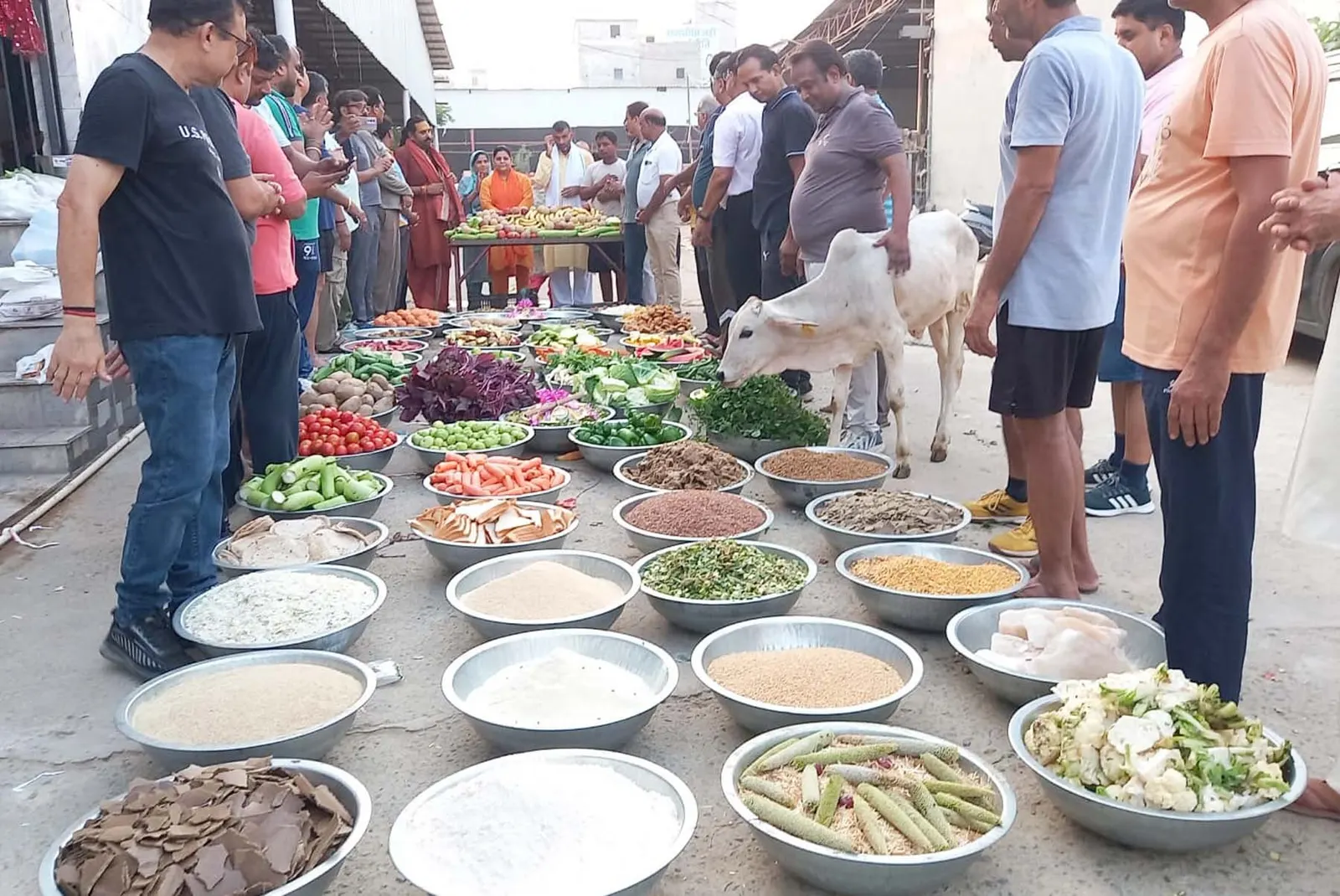 गुरुग्राम में गौशाला में गायों को चढ़ाया गया छप्पन भोग