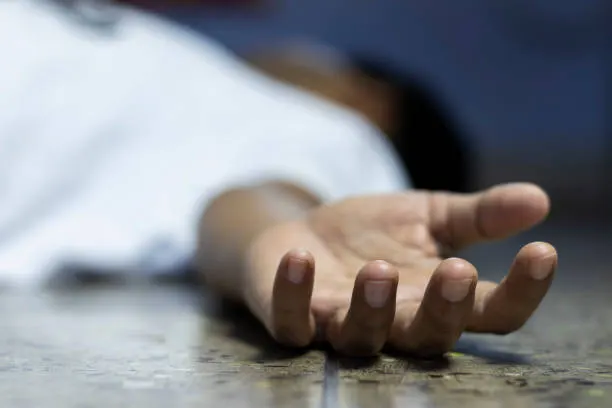 (अपडेट) प्राइवेट बस ने ली दो जातरू की जान : रैलिंग से टकराई बस में लगी भीषण आग, 13 घायल