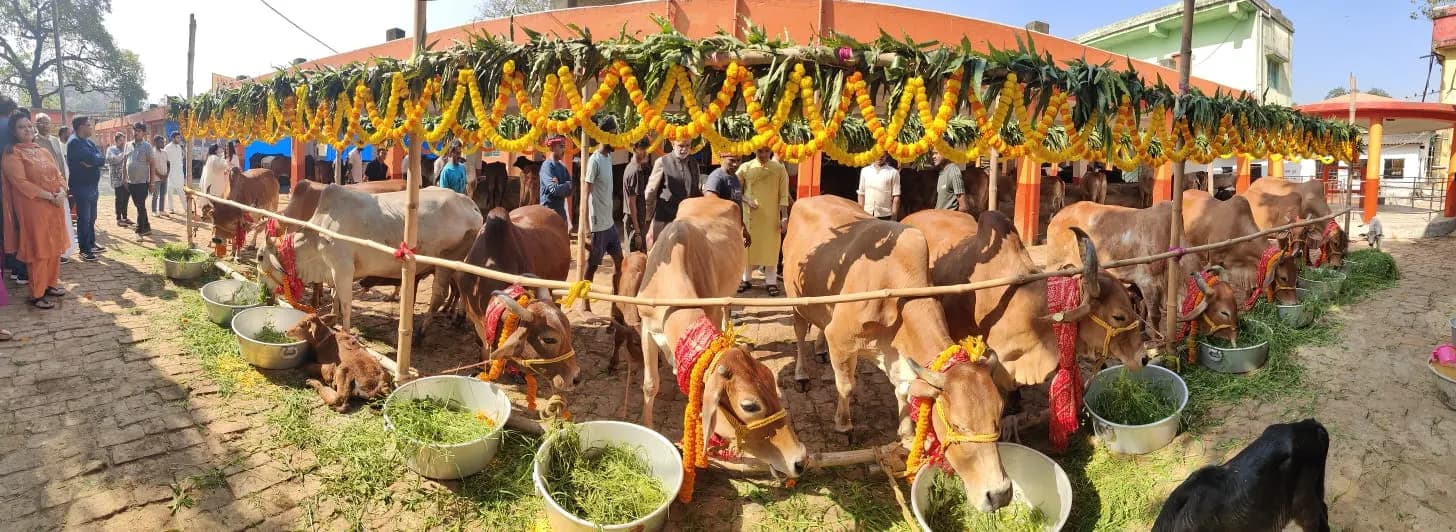 सोदपुर गौशाला को 11 गौ किए दान