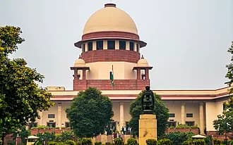 आवारा कुत्तों को लेकर हुआ हंगामा, जांच के बाद शांत हुआ मामला