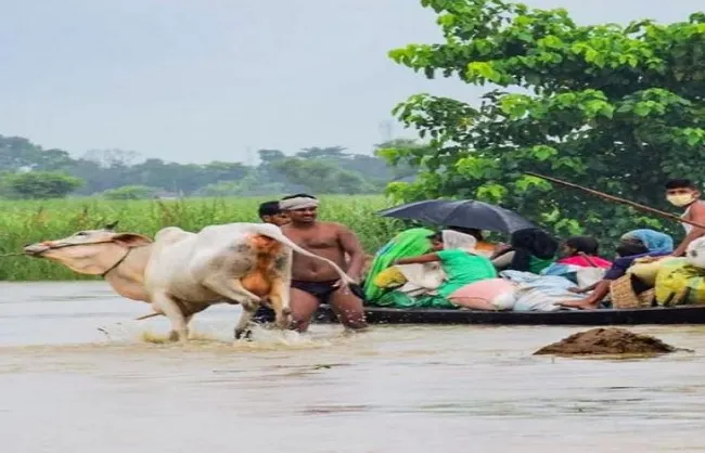 लगातार बारिश से पटना सहित जहानाबाद-गयाजी, नालंदा और नवादा में बाढ़ जैसे हालात