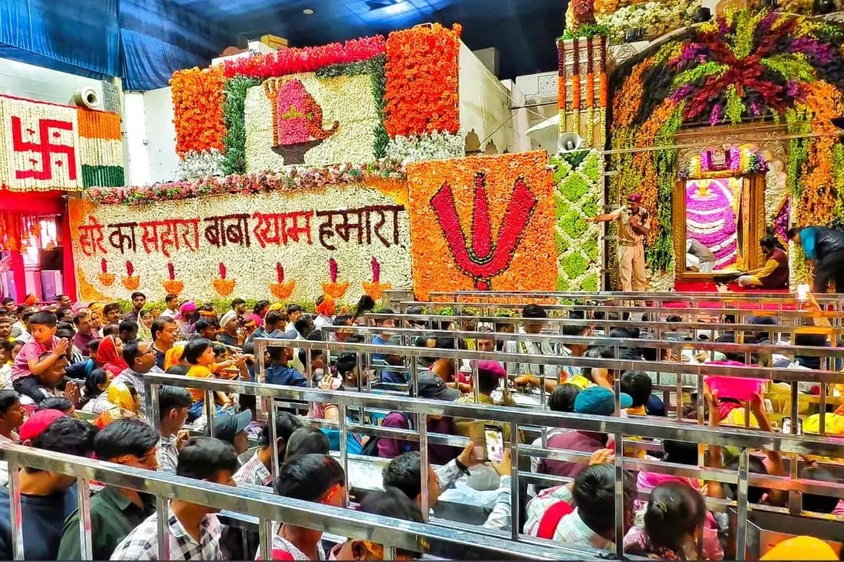 नए साल का जश्न मनाने के लिए राजस्थान पर्यटकों से गुलजार, राहुल–प्रियंका गांधी रणथंभौर पहुंचे