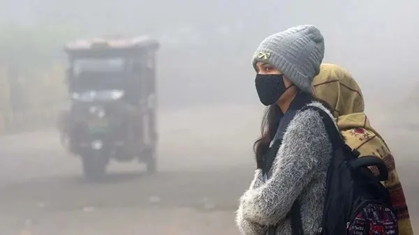 मध्य प्रदेश में ठंड का असर हुआ तेज, भोपाल-इंदौर में पारा 10 डिग्री से नीचे, आज 20 जिलों में शीतलहर का अलर्ट