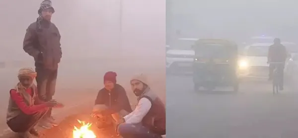 सर्द हवाओं से कांपा मध्य प्रदेश, कोहरा और कड़ाके की ठंड जारी, 11 शहरों में दिन का पारा 20 डिग्री से नीचे