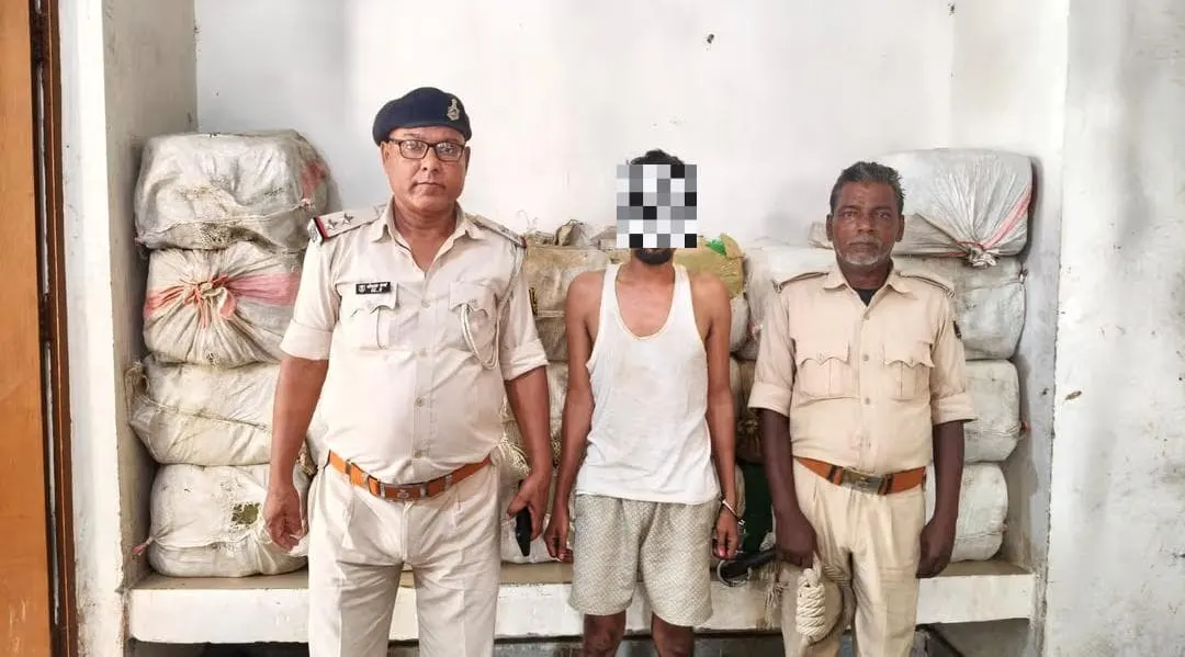 सुपौल में पिकअप से 427 किलो गांजा बरामद, एक तस्कर गिरफ्तार