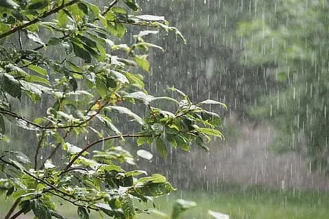 झारखंड में सामान्य से 92 प्रतिशत अधिक बारिश, सबसे अधिक रांची में