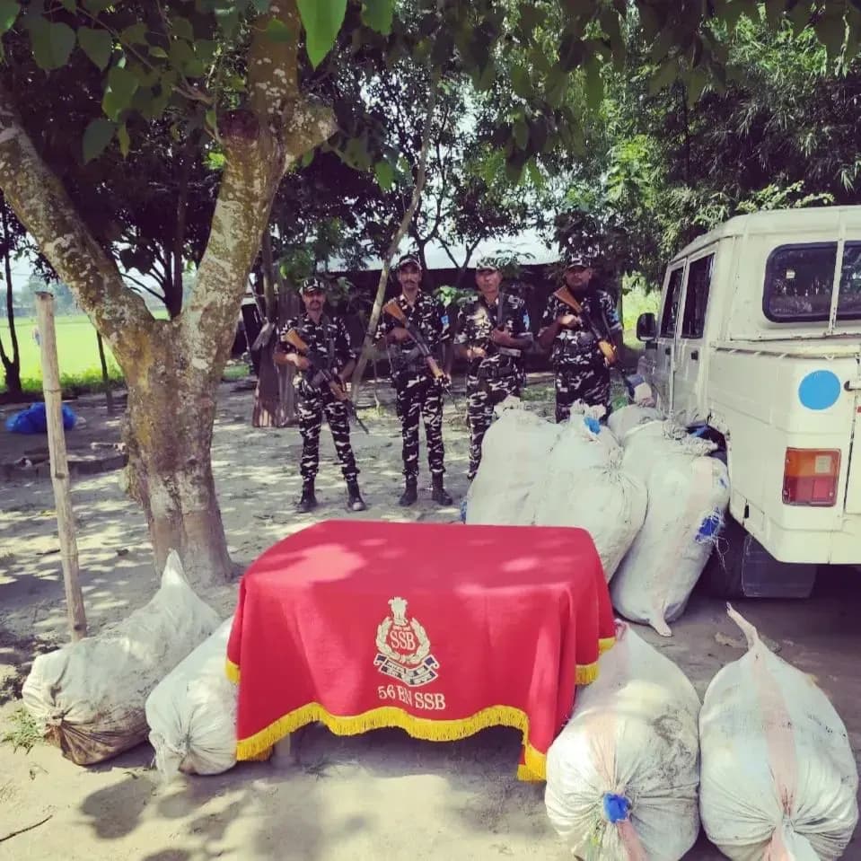 एसएसबी ने 364 किलो तस्करी का गांजा किया जब्त