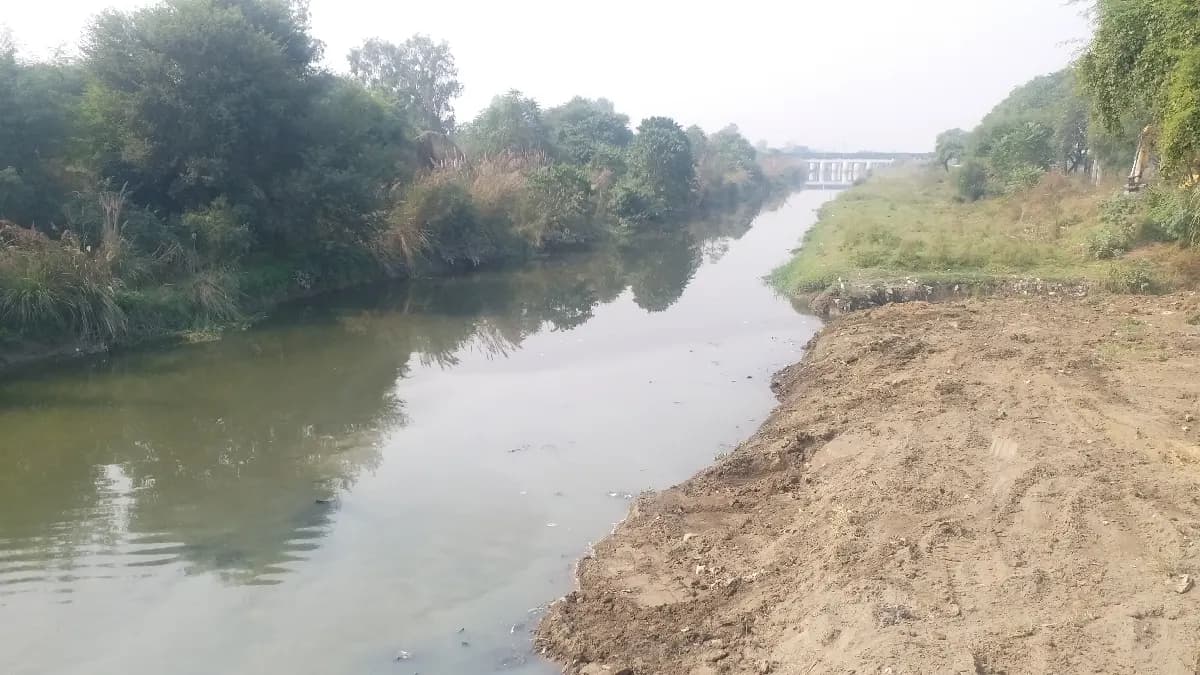 यमुना के जल में जहर घोल रहे पानीपत के कई उद्योग
