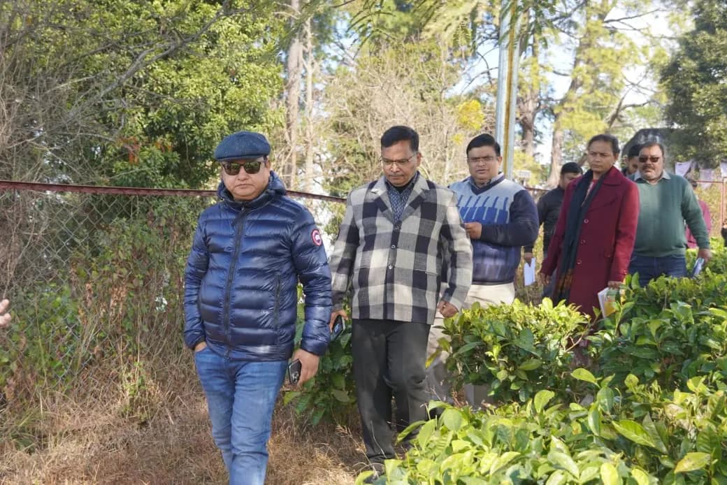 चम्पावत में चाय पर्यटन को नई रफ्तार, सचिव ने बागान का किया निरीक्षण
