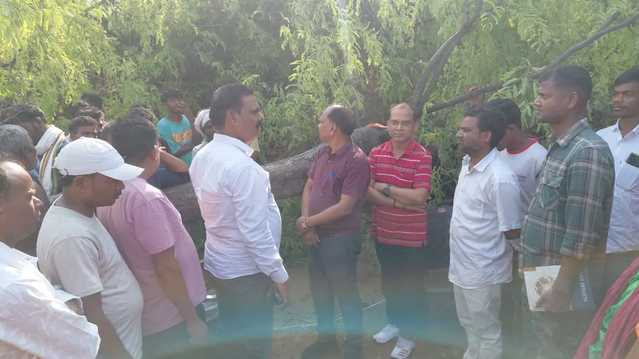घर पर गिरा पेड़, महिला की मौत