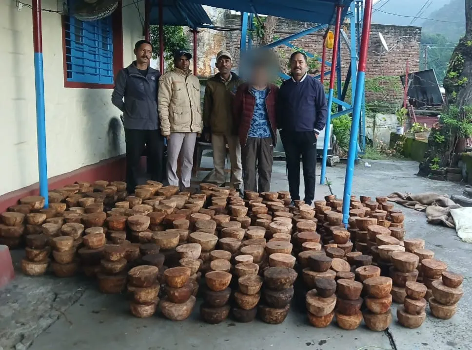 काजल-कांठ की लकड़ी की तस्करी के साथ दो को किया गिरफतार