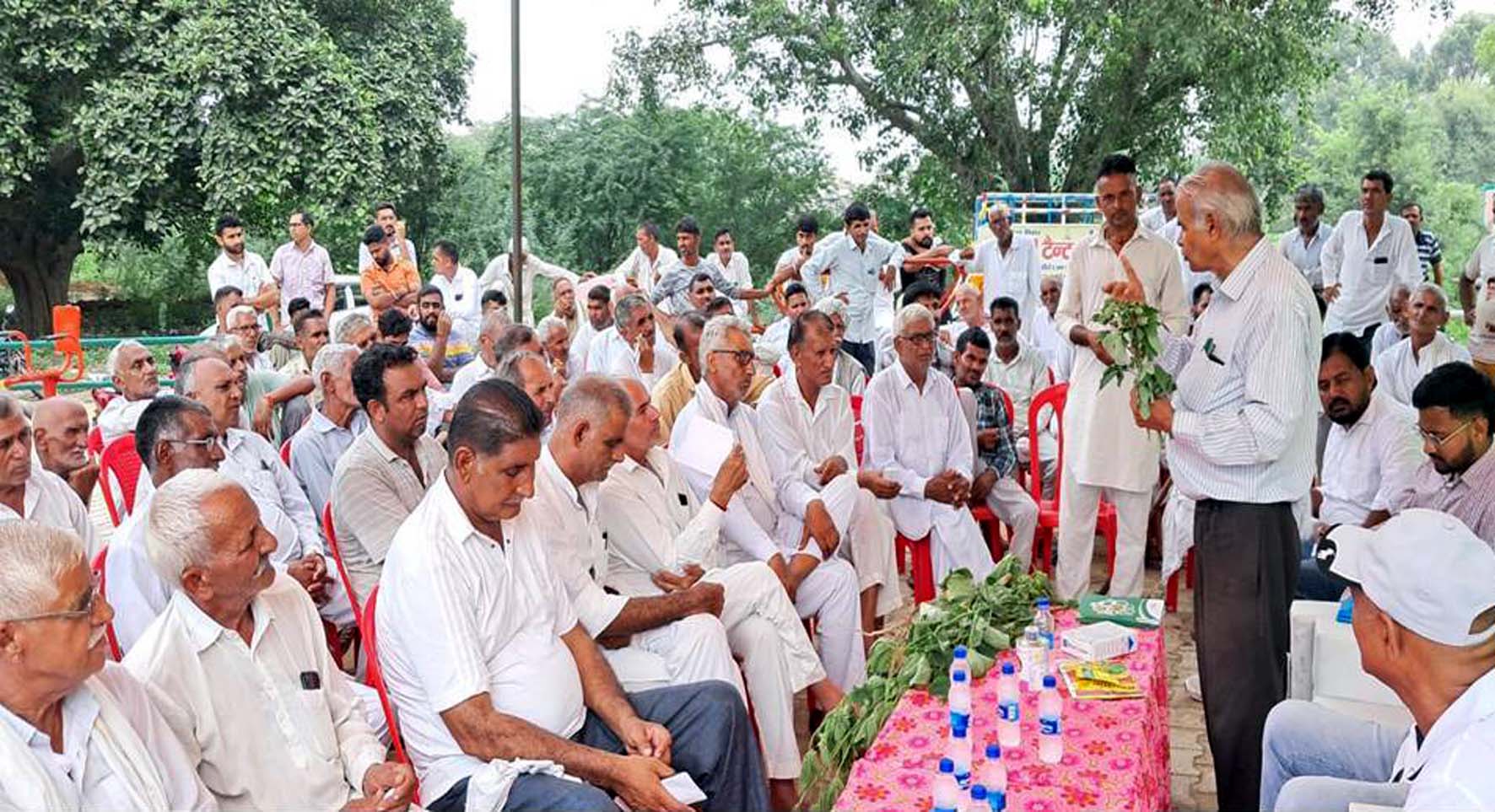 ग्वार फसल में जीवांणु अंगमारी (फंगस रोग) ज्यादा नुकसानदायक : डॉ. बीडी यादव