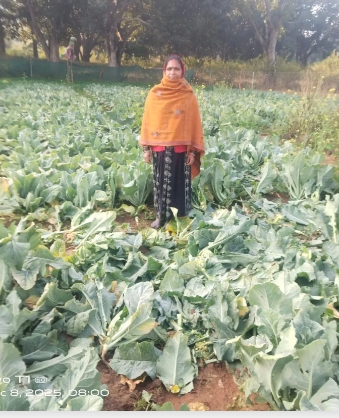 जंगली हाथियों ने झामुमो नेता की पत्नी को कुचल कर मार डाला