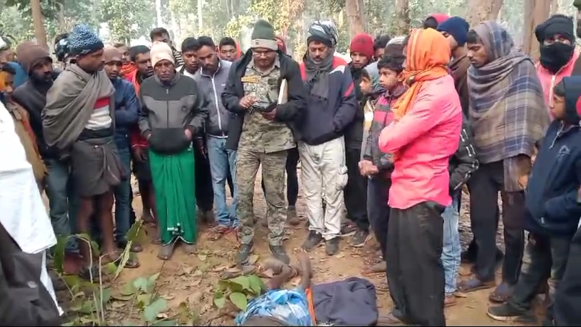 जंगली हाथी के हमले से ग्रामीण की मौत