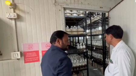 हरियाणा: नूंह के खेतों में उगा नवाचार, 20 वैरायटी वाले मशरूम प्लांट ने बदली खेती की तस्वीर