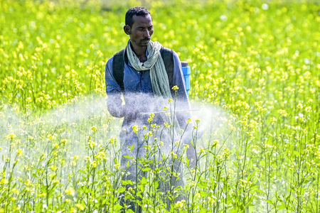 हरियाणा ने कृषि और संबद्ध क्षेत्रों के लिए 1,122 करोड़ रुपए की योजना को मंजूरी दी