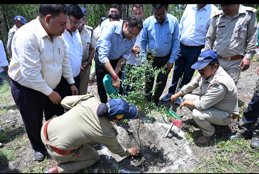 हरेला महोत्सव पर चमोली में 85 हजार पौधे लगाकर हरियाली का संकल्प