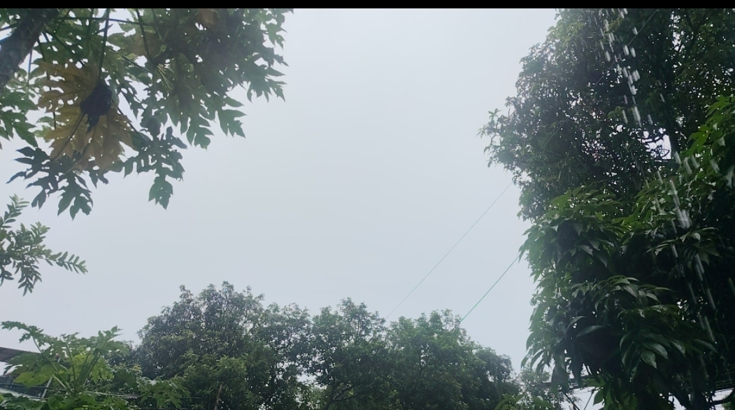 उत्तराखंड में भारी वर्षा की चेतावनी, कई जिलों में स्कूल बंद