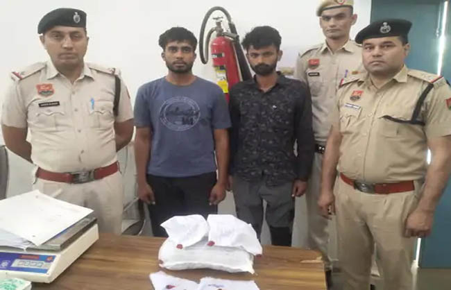 नारनौल में दो किलो गांजा सहित दो युवक गिरफ्तार