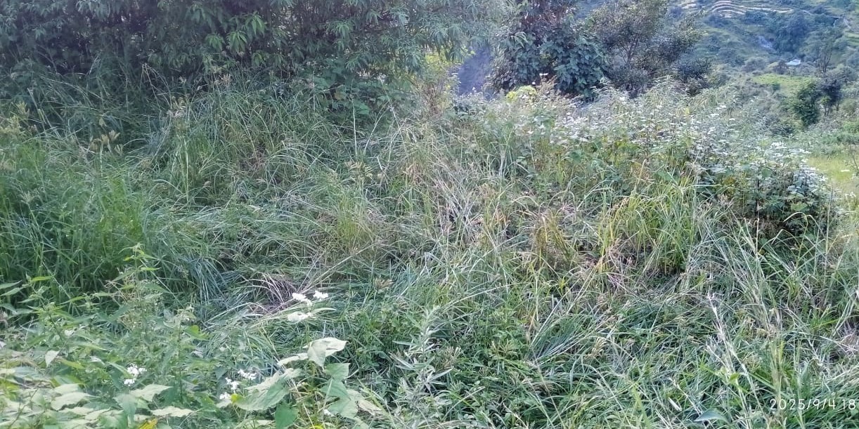 फसलों की सुरक्षा को लिए लगाई जाए चैन फैसिंग