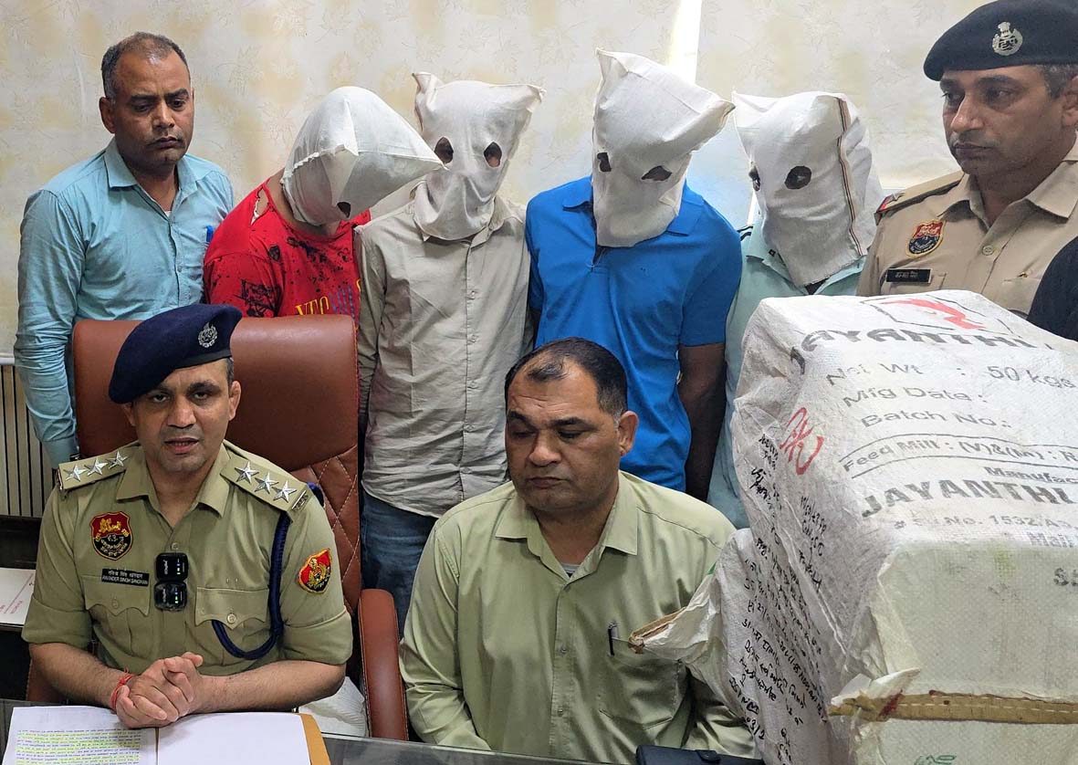 हांसी में 63.7 किलो गांजा बरामद, चार आरोपी गिरफ्तार