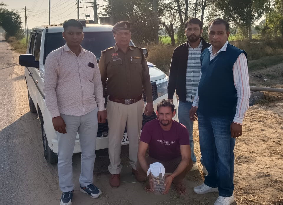 सिरसा: पुलिस ने सर्च ऑपरेशन चलाकर एक दर्जन अपराधियों को किया गिरफ्तार