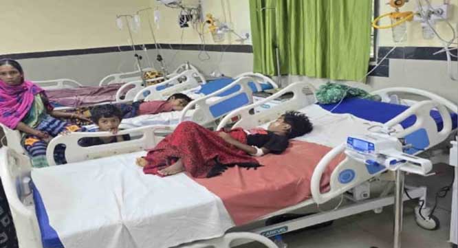 बस्तर संभाग में मलेरिया का प्रकोप, 8,426 मरीज पॉजिटिव; कांकेर में 10 दिन में तीन मौतें