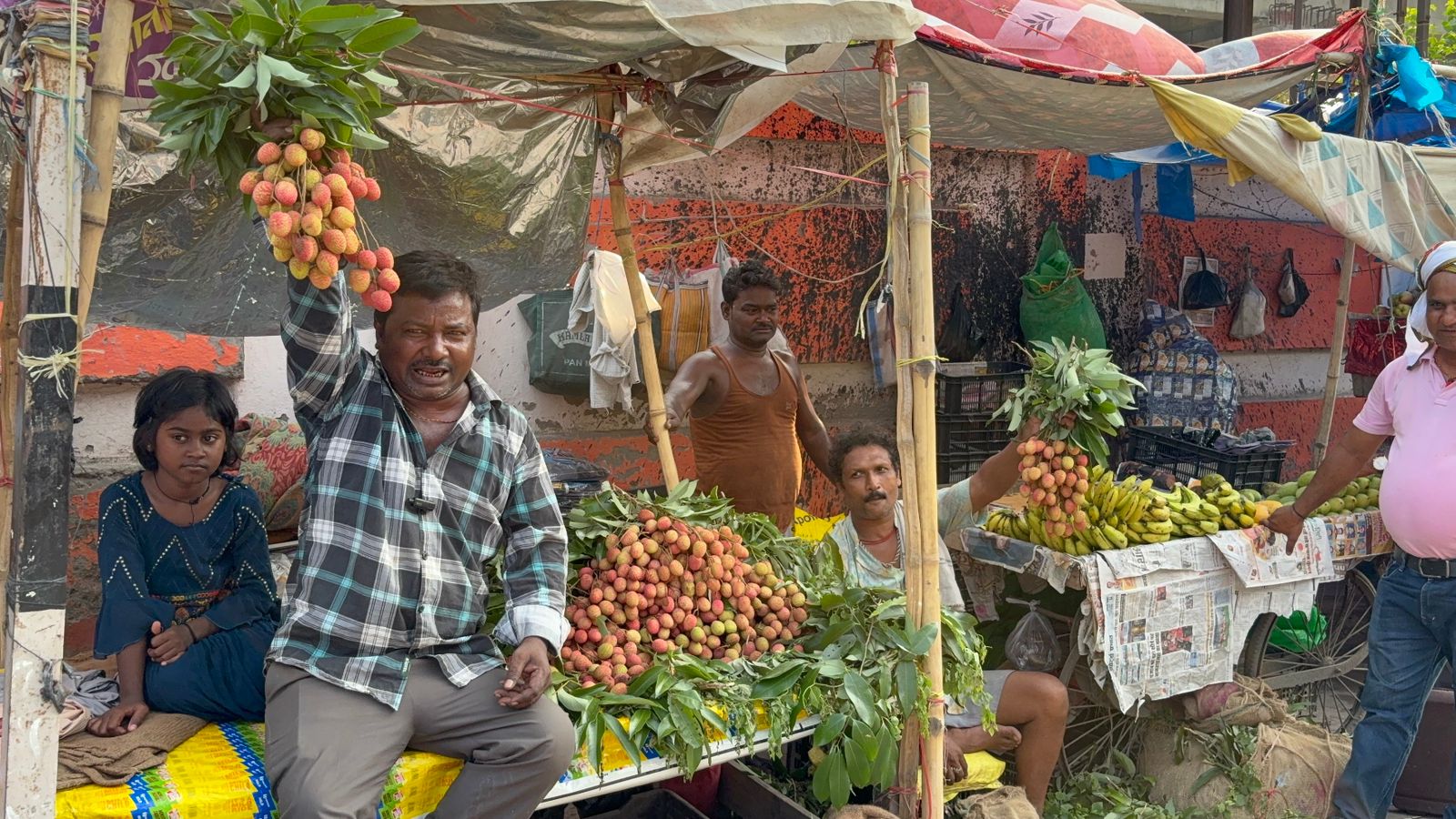 बिहार में मुजफ्फरपुर की विश्व प्रसिद्ध 'शाही लीची' ने दी बाजार में दस्तक, 400 सैकड़ा तक पहुंची कीमत