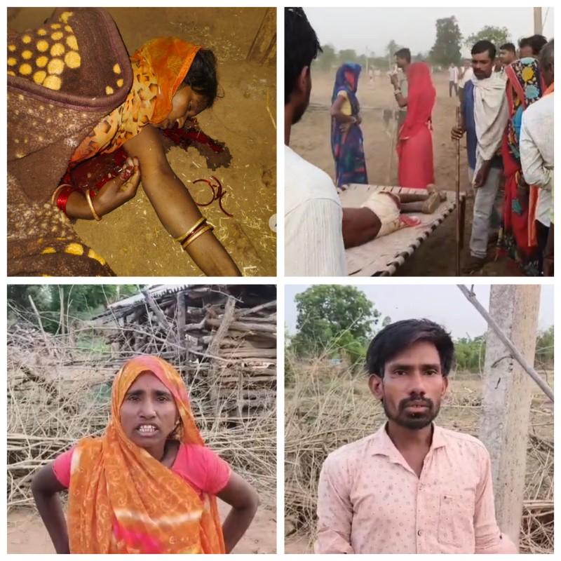 बांधवगढ़ टाइगर रिजर्व में बाघ का हमला, महिला की मौत; ग्रामीणों का फूटा गुस्सा
