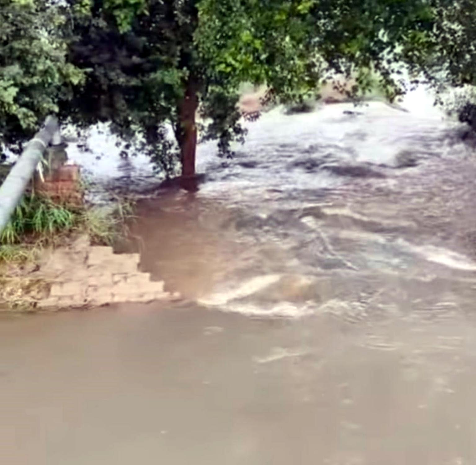 फतेहाबाद में नहर टूटी, सैकड़ों एकड़ फसल जलमग्न